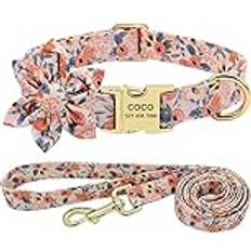 Collar Leash Collars Pet Walking Belt