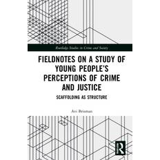 Fieldnotes Fieldnotes on a Study of Young People's Perceptions of Crime and Justice: Scaffolding as Structure (Inbunden, 2022)