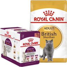 Royal Canin British Shorthair Adult 10kg+ Multipack free