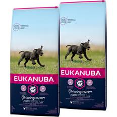 Eukanuba Puppy Large Breed 2x15