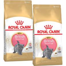 Royal Canin British Shorthair Kitten