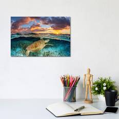 Bay Isle Home Magic Mornings Barrier Reef Framed Art