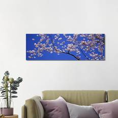 Brayden Studio Cherry Blossoms Washington DC USA Framed Art