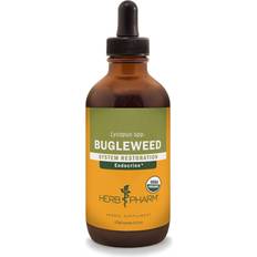 Bugleweed Liquid Extract for Endocrine System Support 4oz