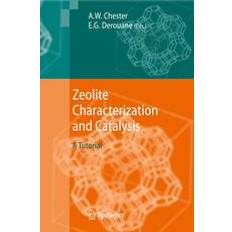 Zeolite Characterization and Catalysis 9789400790957