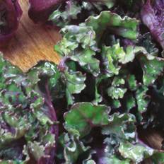 Johnsons Seeds Vegetable Kalettes Mixed F1