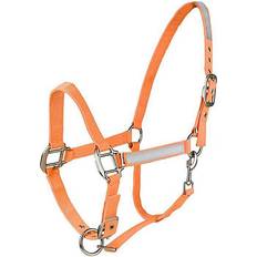 Orange Halters & Lead Ropes Horze Reflective Halter