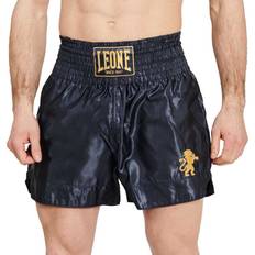 Thai & Kickboxing Shorts Basic 2 AB970