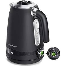 Electric Kettle, Control