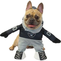 Jerry Leigh Las Vegas Raiders Running Dog Costume