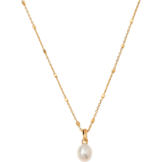 Guldpläterad Halsband Syster P Treasure Single Necklace - Gold/Pearl