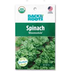 Vegetable Seeds Back To The Roots Spinach 'Bloomsdale' Seed 1g, Green