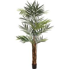 Kentia Palm Tree 300 cm