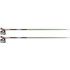 Flash Carbon Walking Poles
