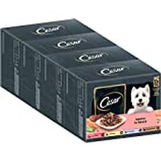 Cesar Adult Hundenassfutter Selektion in