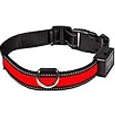 Eyenimal Rechargeable Luminous Dog Collar USB Rouge