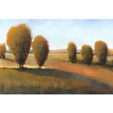 Square Framed Art Brambly Cottage Afternoon Light I Bild