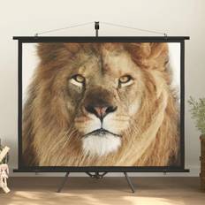 Projector Screens Symple Stuff Projektionsleinwand Arpiar weiß 226.0 H x 151.0 W cm