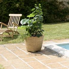 Pots, Plants & Cultivation Highland Dunes Blumentopf Akil aus Bambusrohr