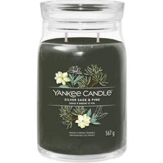 Silver Sage & Pine Large Jar