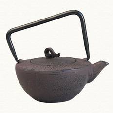 HKHBJS Cast Iron Tea Pot Set Japanese Tetsubin