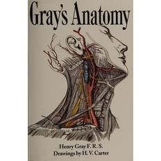 Gray's Anatomy