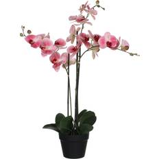 Rosa Konstgjorda växter Mica Decorations Phalaenopsis Konstgjord växt
