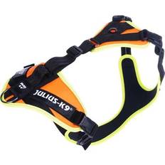 Julius-K9 Mantrailing harness M Orange