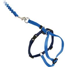 PetSafe Come With Me Kitty Cat Harness & Bungee Leash Large