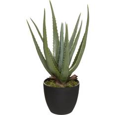 Atmosphera aloe real touch, h. Künstliche Pflanzen