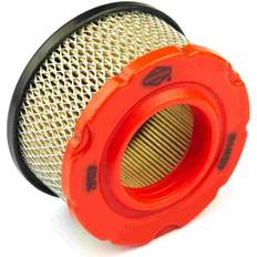 Briggs & Stratton Sprint 550, 797819