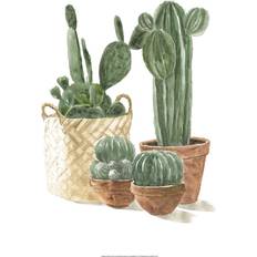 Cotton Framed Art Natur Pur Cacti in Pots Painting Framed Art