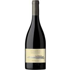 Vina Errazuriz 2020 Pinot Noir, Pizarras 13.5% 75ml