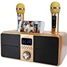 BeWinner KTV Kit Bluetooth Karaoke Speaker