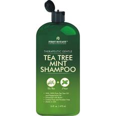 First Botany Tea Tree Oil Shampoo Anti Dandruff Shampoo