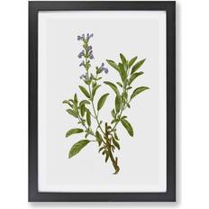 East Urban Home 'Garden Sage Flowers' Pierre-Joseph Redoute Picture Painting on Paper Framed Art