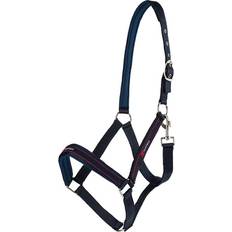 Grimmor Fairfield Grimma Urbino Fairfield Marin