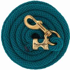 Turquoise Halters & Lead Ropes Weaver Weaver Poly Lead Rope w/Brass Snap 10Ft Teal