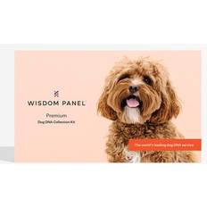 Premium Dog DNA Test (Paperback)