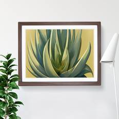 Bay Isle Home Aloe Vera Plant Picture Graphic Framed Art