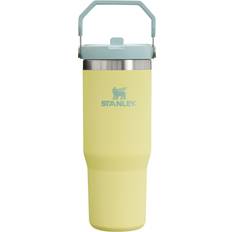 Kitchen Accessories Stanley The IceFlow Flip Straw Pomelo Travel Mug 30fl oz