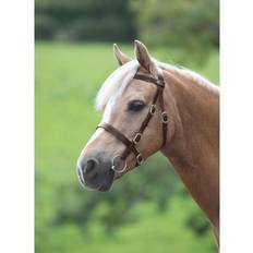 Leather Equestrian Shires Plain In Hand Bridle, Havana Pony Havana