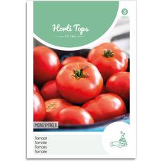 Tomatoes Vegetable Seeds Tomato Moneymaker Seed Packet De Ree