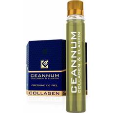 Kollagen Und Elastin 10 Ampulle