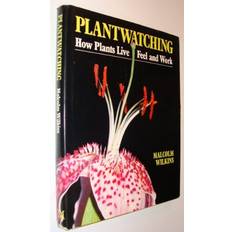 Plantwatching: How Plants Live, Feel and Think