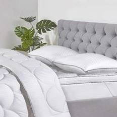 BHS Premium Wool Blend