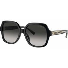 Coach Sunglasses Coach Signature Ombré HC8395U CR614 50023C