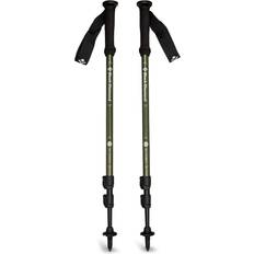 Silver Trekking Poles Black Diamond Explorer 3 Trekking