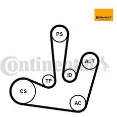 Continental V-Ribbed Belt Set 6PK1795K1 6PK1795K1