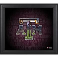 Fanatics Authentic Texas A&M Aggies Framed 15'' x 17'' Team Heritage Collage Multi